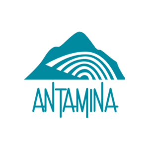 01 log antamina